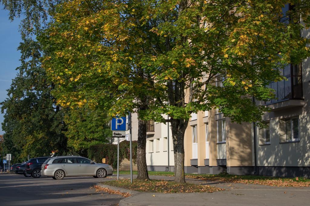 Park Apartment Друскінінкай Екстер'єр фото